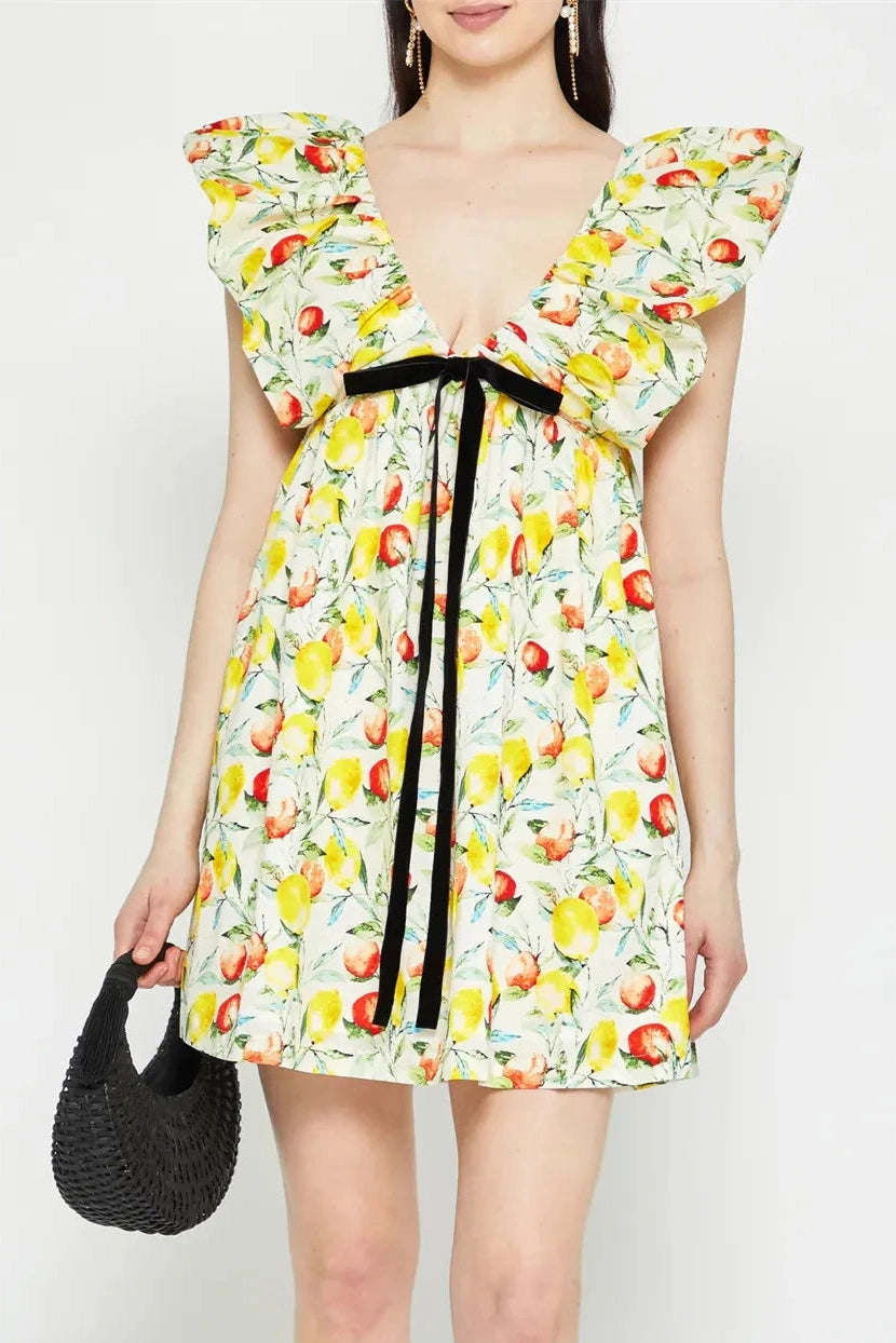 Floral V Neck Puff Sleeve Mini Dress