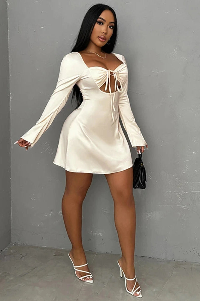 Elegant Hollow Out Long Sleeve Mini Dress