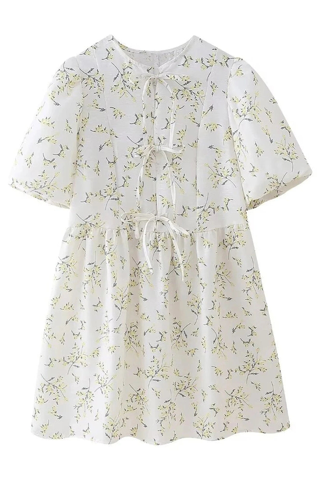 Puff Sleeve Tie Up Hollow Neck A-Line Mini Dress