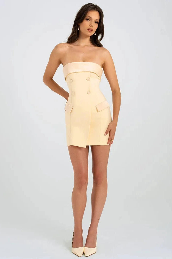 Strapless Backless Slim Bodycon Mini Dress