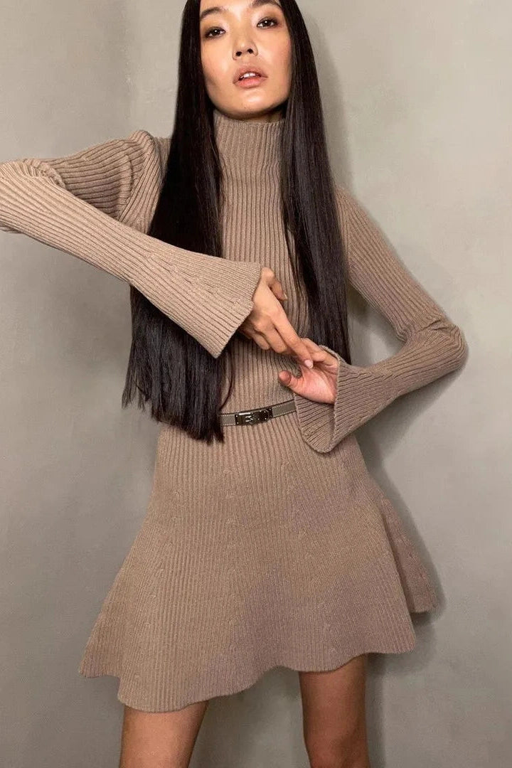 Elegant Long Sleeve Mini Dress