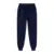 Women¡¯s Fleece Sweatpants Bottom Winter Warm Pants Daily Casual Jogger Long Pant Multicolor Autumn Female Solid Color Sweatpants