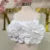 Sexy Chic 3d Floral Croptop Women Backless Sleeveless White Female Slip Vests  Spring Summer New Fashion Street Lady Tops