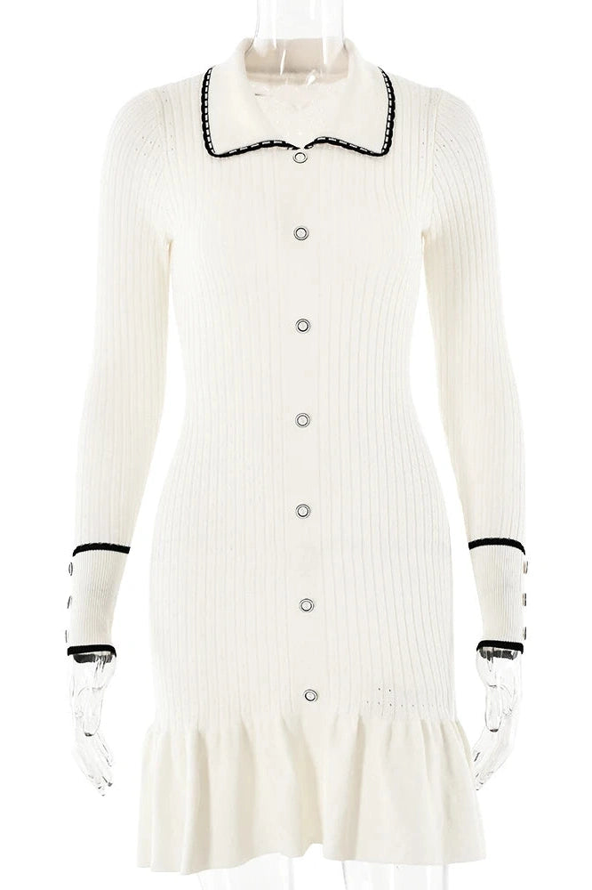 Elegant Slim Bodycon Long Sleeve Mini Dress
