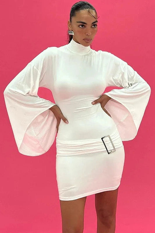Elegant Long Sleeve Mini Dress