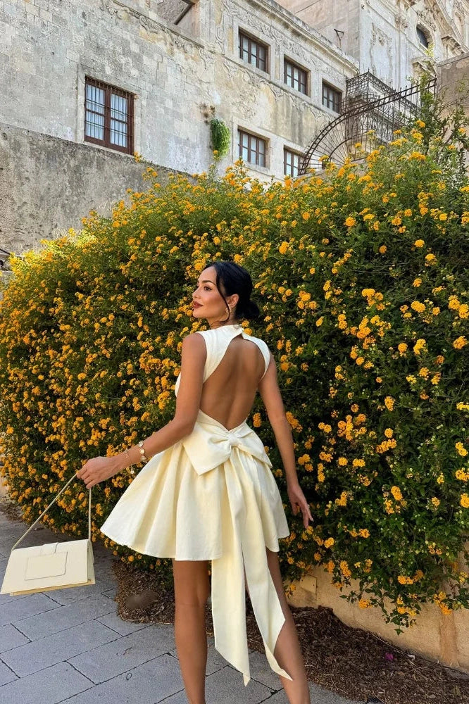 Sleeveless High-Waist Mini Dress