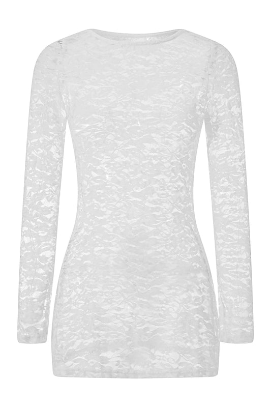 Sheer Lace Long Sleeve Bodycon Mini Dress
