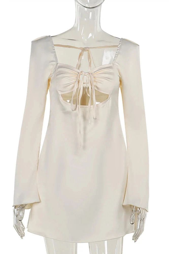 Elegant Hollow Out Long Sleeve Mini Dress