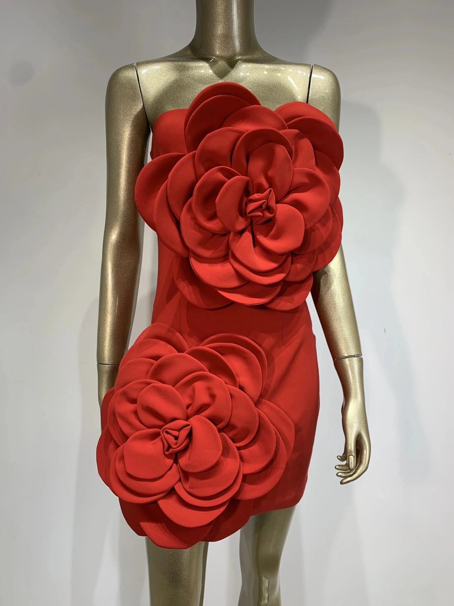 Orenda Strapless Dress with Red Flower Applique