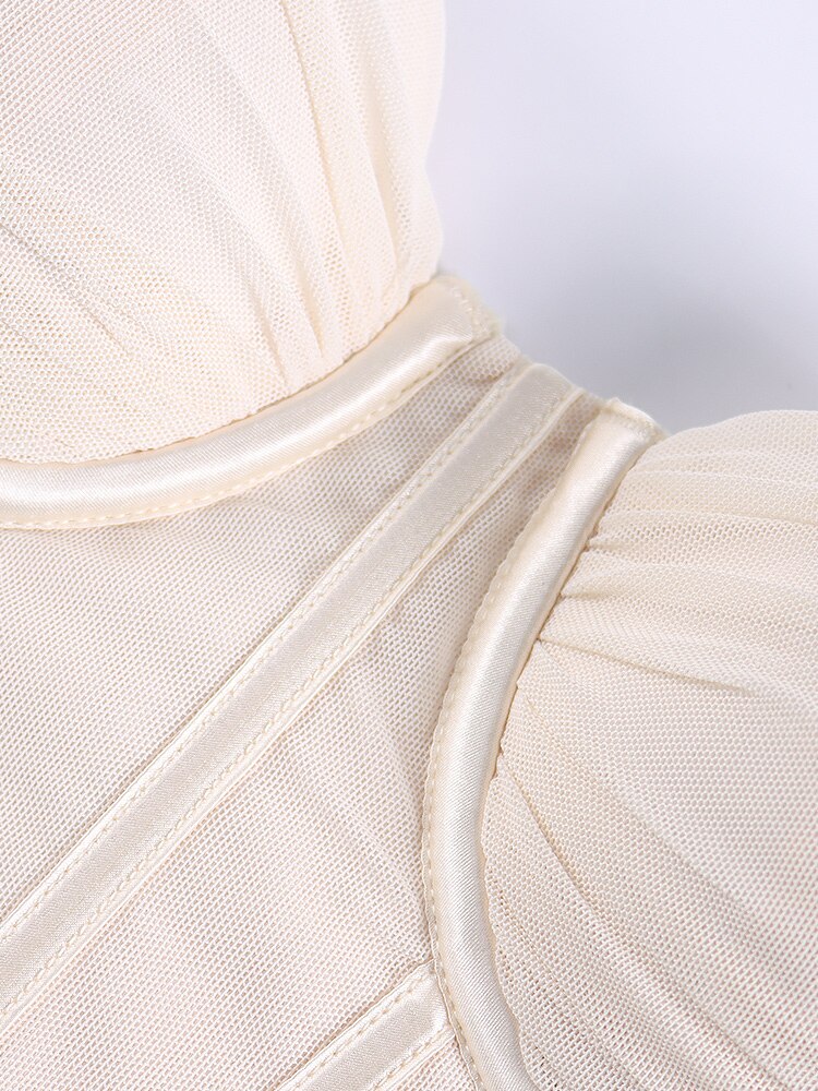 Elegant Sheer Mesh Corset Fitted Sleeveless  Dress