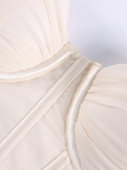 Elegant Sheer Mesh Corset Fitted Sleeveless  Dress