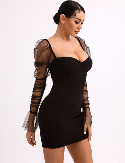 Chic Arletta Mesh Dress with Voluminous Puff Sleeves