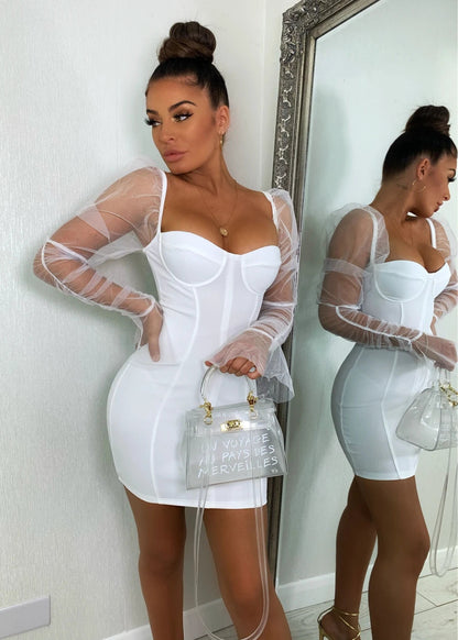 Arletta Mesh Puff Sleeve Dress