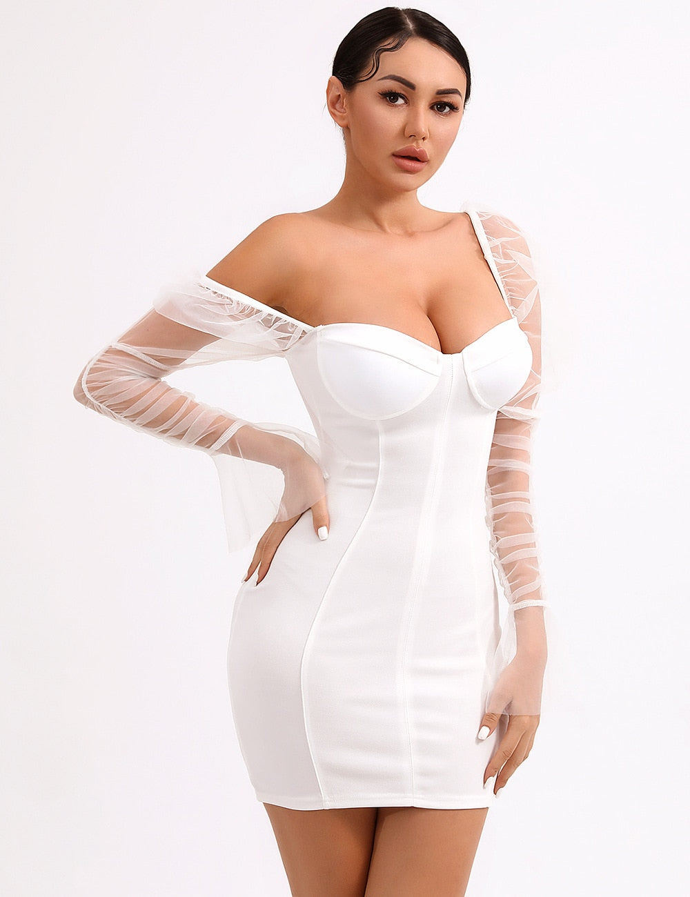 Arletta Mesh Puff Sleeve Dress