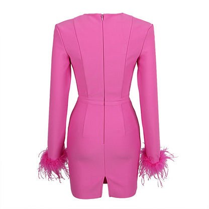 Candace Long Sleeve Feather Dress