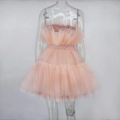 Graceful Mesh Ruched Dress with Refined Details