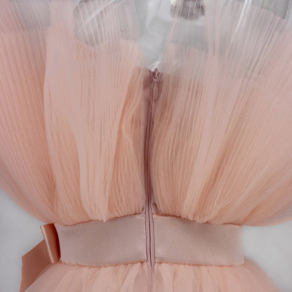 Graceful Mesh Ruched Dress with Refined Details