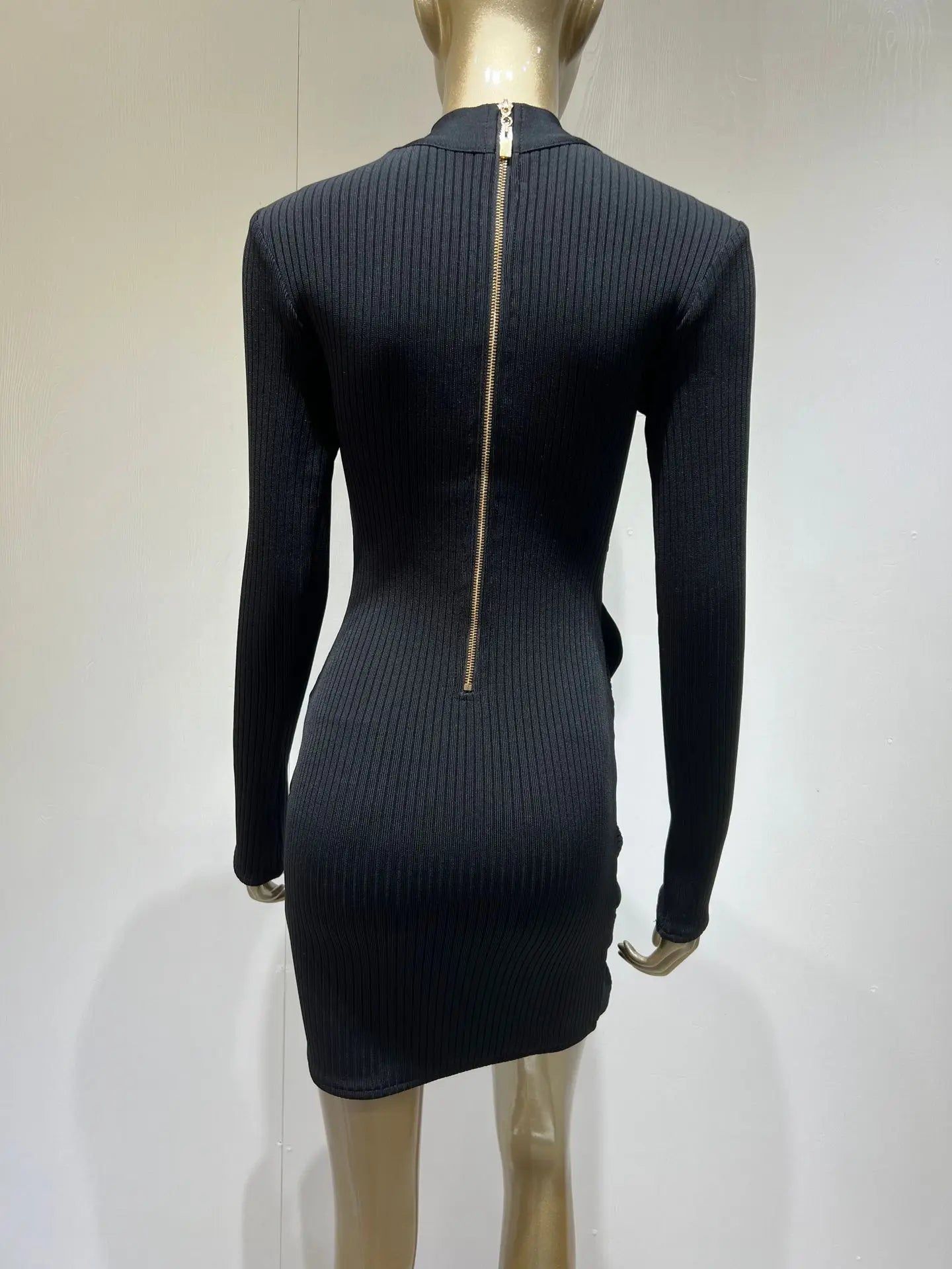 Chic Sleek Mesh Turtleneck Bandage Dress
