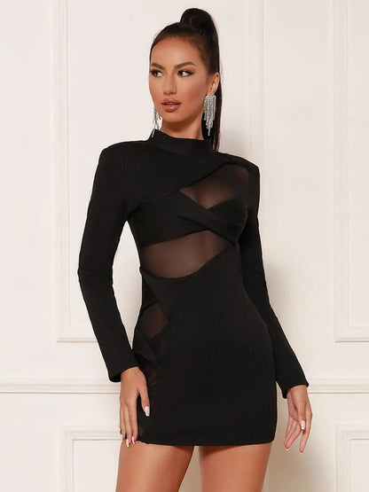 Chic Sleek Mesh Turtleneck Bandage Dress