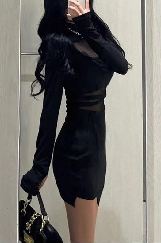 Black Mesh Sheer Slim Bodycon Mini Dress