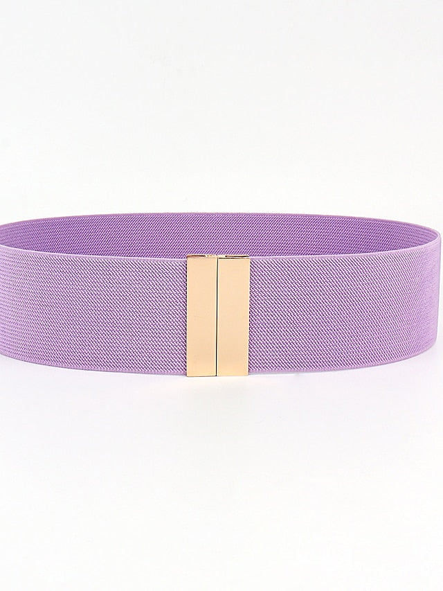 Corset Belt Nylon Sliding Buckle Plain Casual Formal Work Daily Black White Red Purple for Women