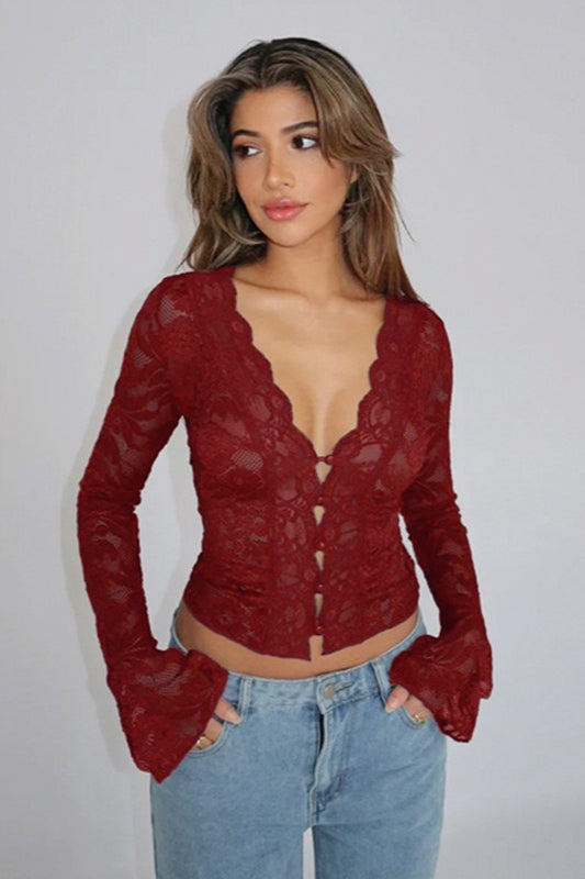 V-Neck Lace Long Sleeve Crop Top