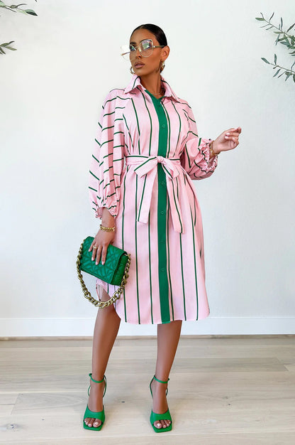 Fashion Women Stripe Print Casual Long Sleeve Lapel Shirt Dress
