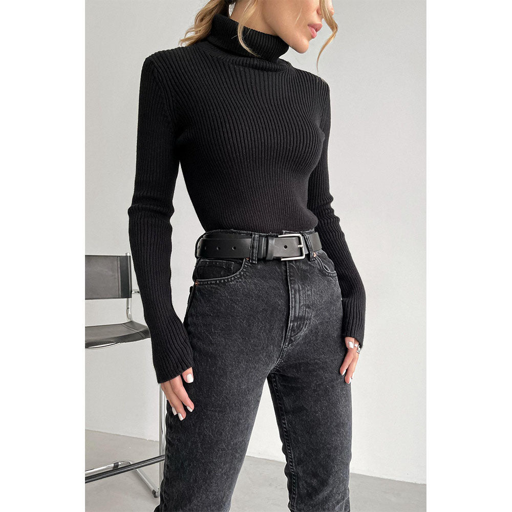Turtleneck Knitted Sweater Winter Women Basic Casual Slim Pullover Knitwear