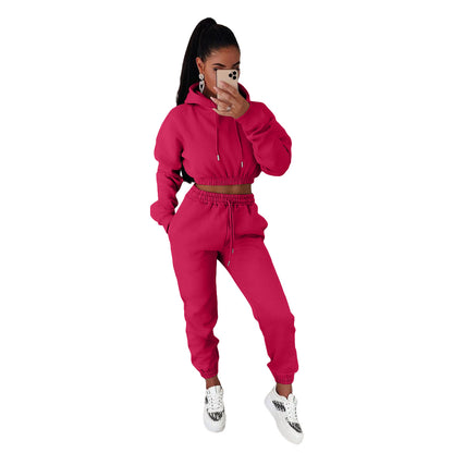 Women Fashion Casual Athleisure Solid Color Hooded And Pants Sports Set