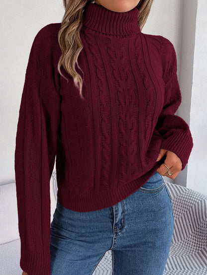Autumn Winter Women Fashion Casual High Collar Twist Long Sleeve Knitted Sweater