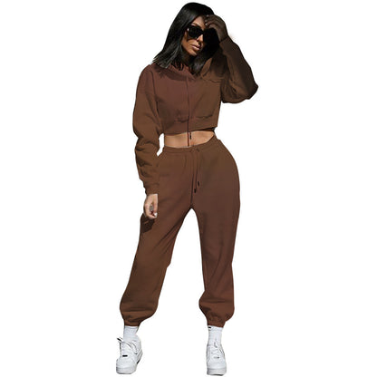 Women Casual Solid Color Fleece-Lined Hooded Loose Drawstring Pants Two-Piece Set