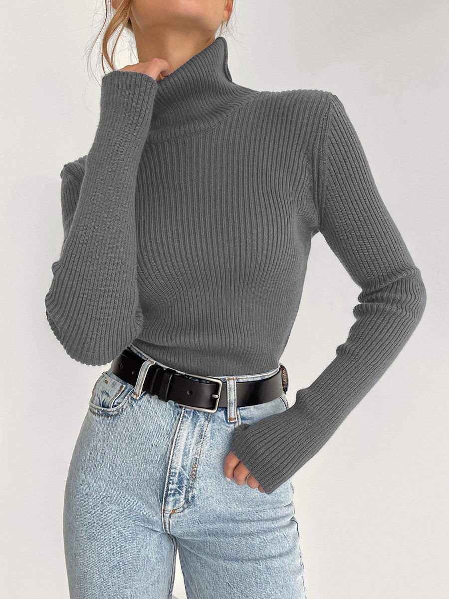 Turtleneck Knitted Sweater Winter Women Basic Casual Slim Pullover Knitwear