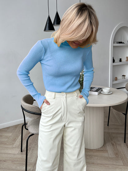 Turtleneck Knitted Sweater Winter Women Basic Casual Slim Pullover Knitwear