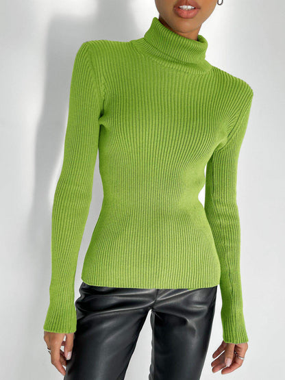 Turtleneck Knitted Sweater Winter Women Basic Casual Slim Pullover Knitwear