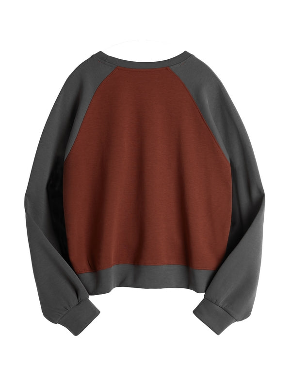 Letter Print Color Block Splice Raglan Oversized Hoodie
