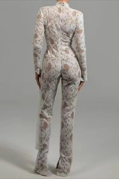 Lace Sheer High Neck Long Sleeve Jumpsuit