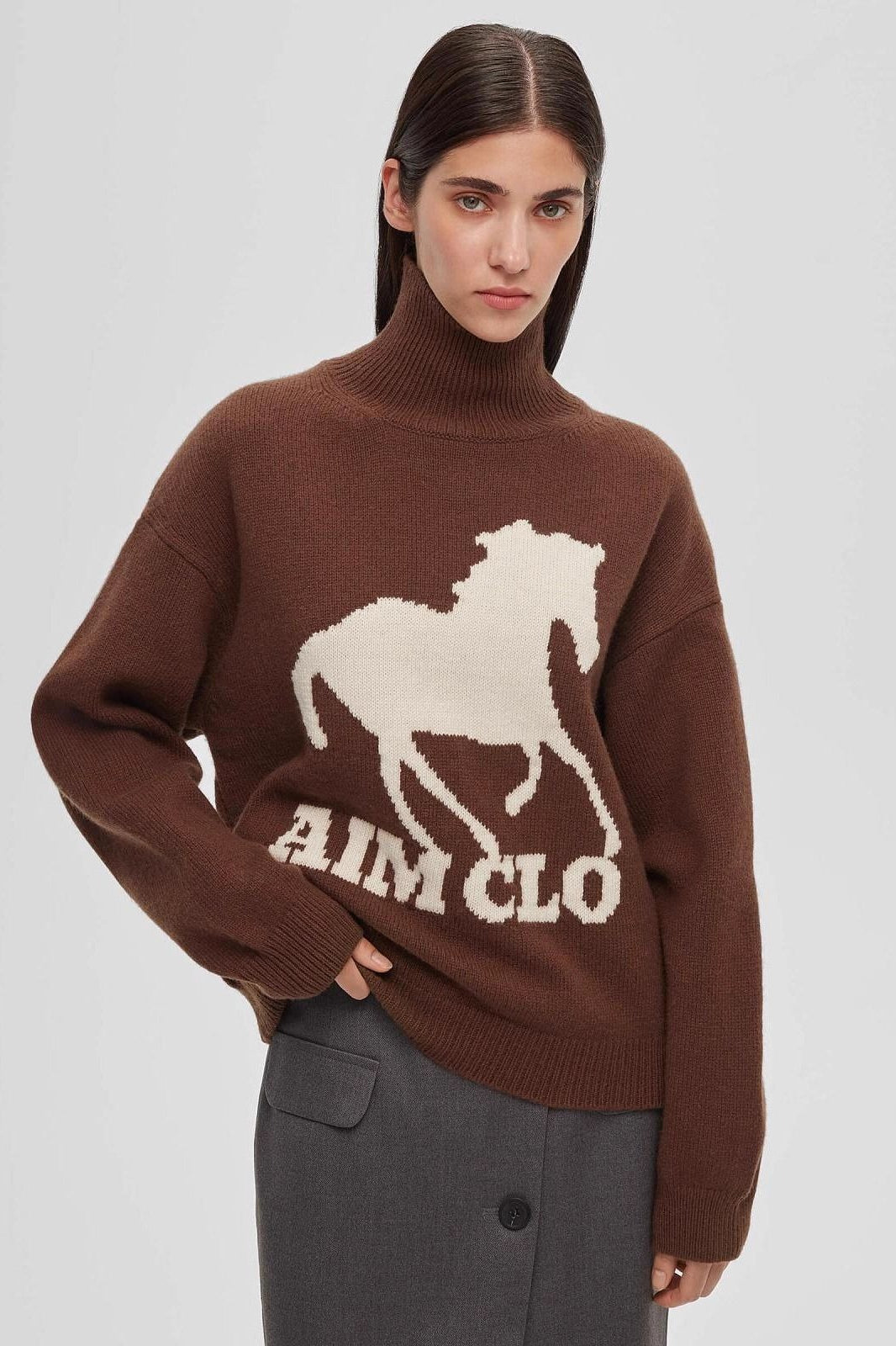 Animal Print Colorblock Turtle Sweatshirt