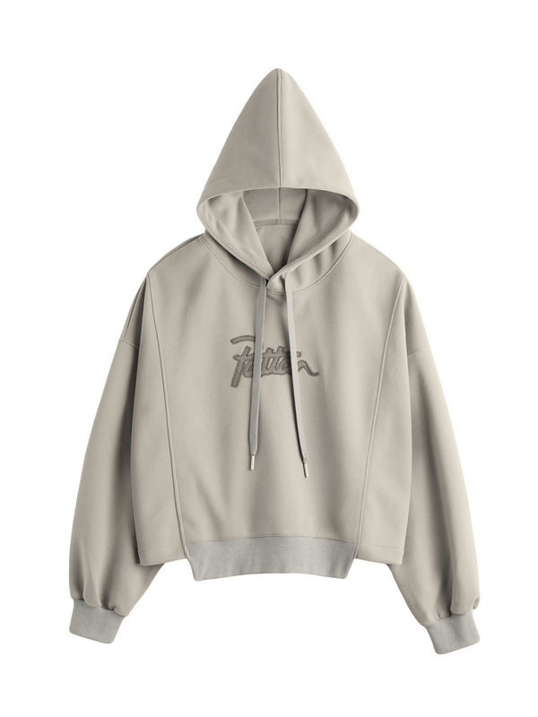 Letter Embroidery Drawstring Oversized Hoodie