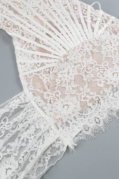 Strapless Lace Corset Sheer Mini Dress