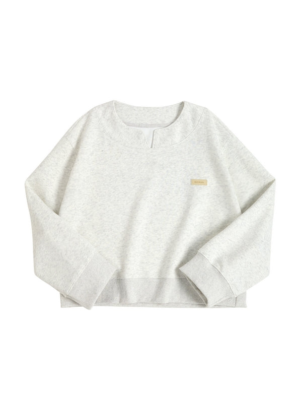 Solid Color V Neck Label Decor Oversized Hoodie