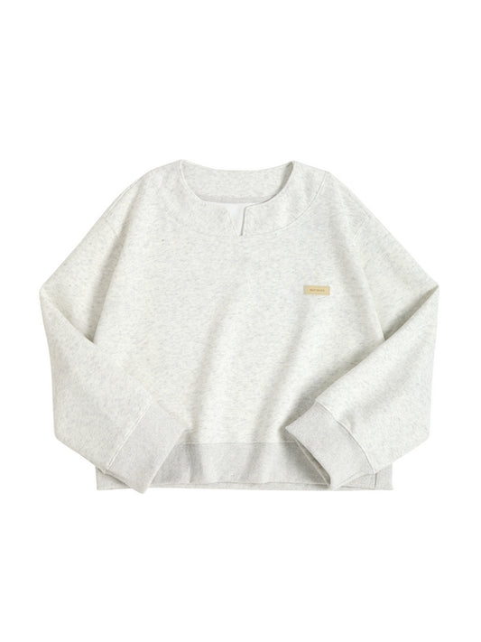Solid Color V Neck Label Decor Oversized Hoodie