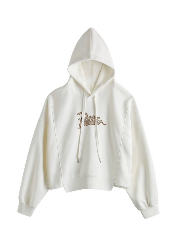 Letter Embroidery Drawstring Oversized Hoodie
