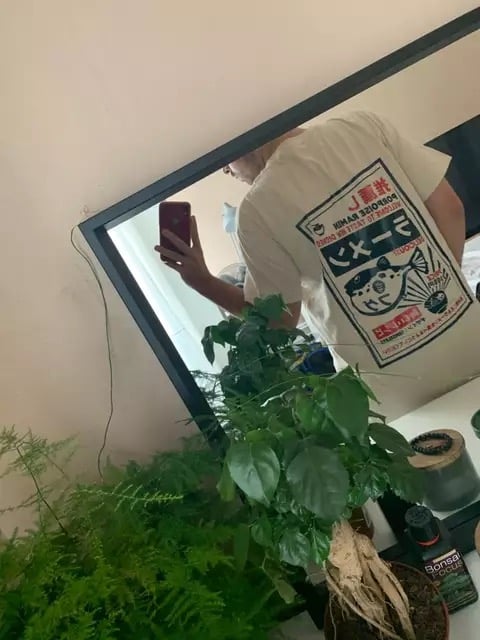 Puffer Fish Ramen Sushi Graphic Cartoon Print Loose Oversized Short Sleeve T-shirt Top Summer Causal E-Girl Kawaii Korean Japanese Harajuku Streetwear