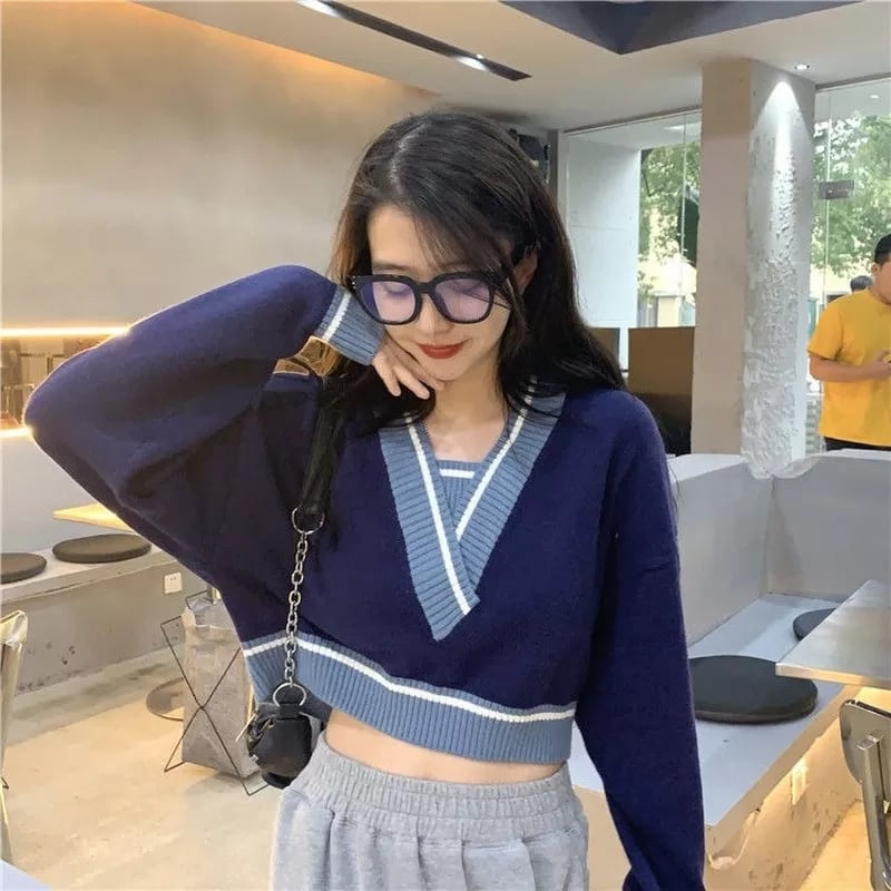 Panelled V Neck Cropped Loose Long Sleeve Jumper
