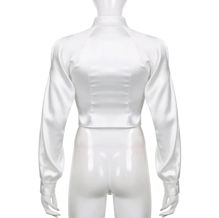 Cute White Silk Hollow Out Collar Cropped Top Long Sleeve Shirt Blouse Elegant Aesthetic Casual E-Girl Kawaii Korean Japanese Harajuku