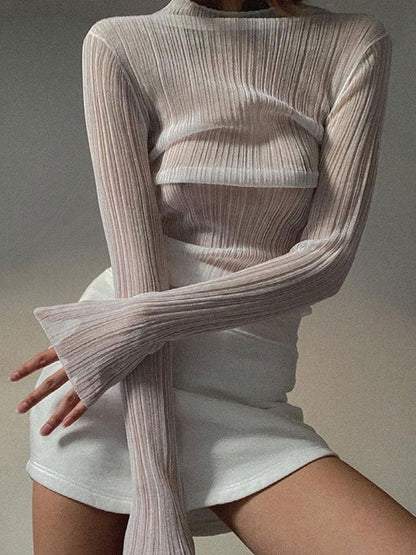 High Neck Semi Sheer Knit Top