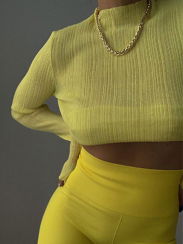 High Neck Semi Sheer Knit Top