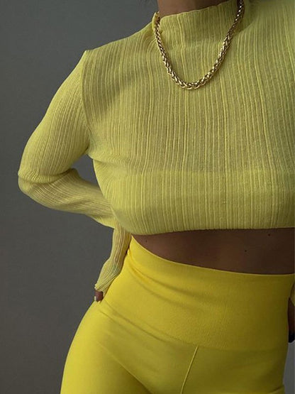 High Neck Semi Sheer Knit Top