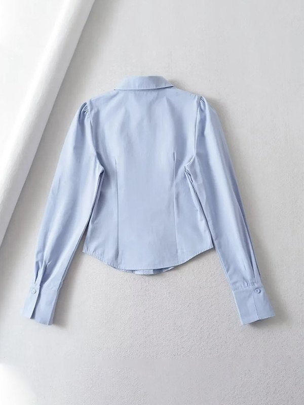 Pleated Button Down Long Sleeve Blouse