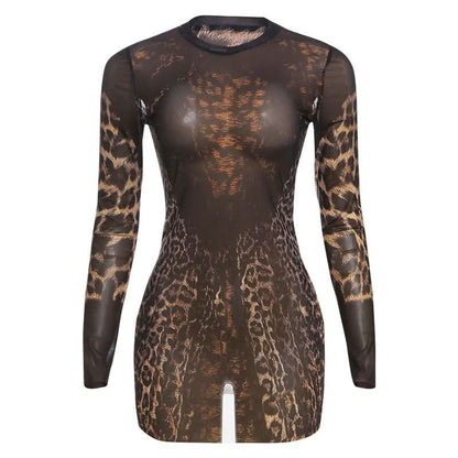 Crewneck long sleeve leopard print mesh mini dress  | Festival Outfits Women  | Leopard Print Mini Dress